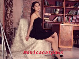 Monicacatpaws
