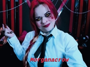 Morganacrow