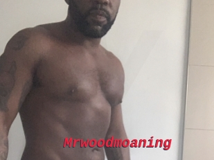 Mrwoodmoaning