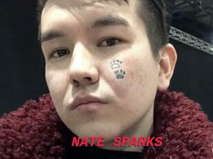 NATE_SPARKS