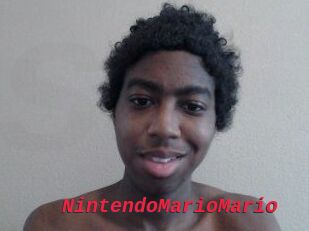 NintendoMarioMario