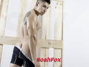 NoahFox