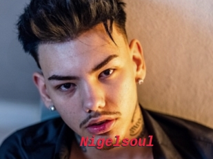 Nigelsoul