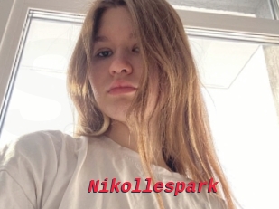 Nikollespark