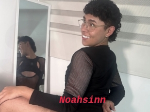 Noahsinn