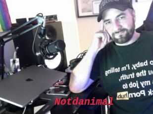 Notdanimal