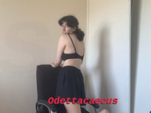 Odettacaecus