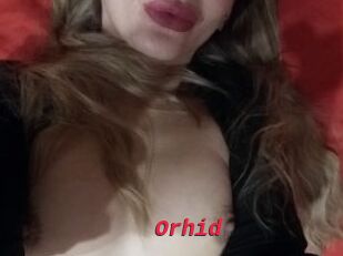Orhid
