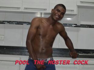 POOL_THE_MOSTER_COCK
