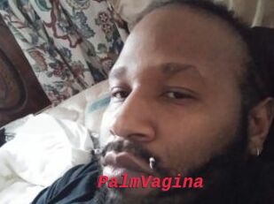 PalmVagina