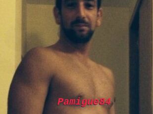 Pamigue84