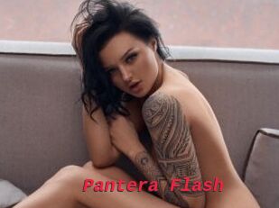 Pantera_Flash