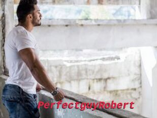 PerfectguyRobert