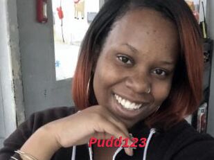 Pudd123