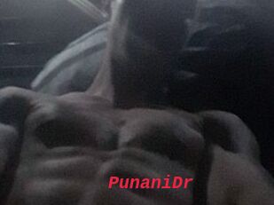 PunaniDr
