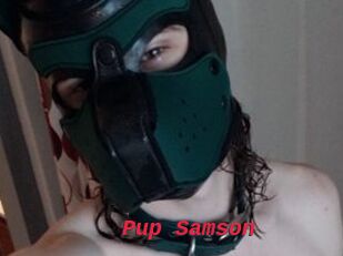 Pup_Samson