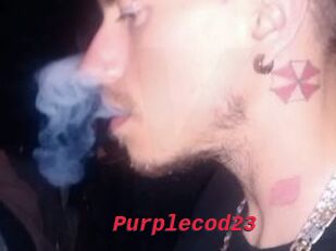 Purplecod23