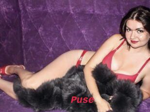 Puse