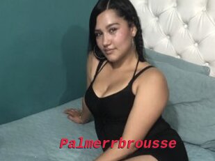 Palmerrbrousse