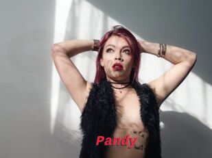 Pandy