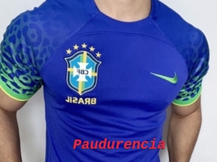 Paudurencia