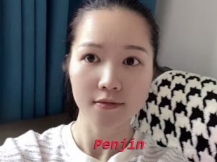 Penjin