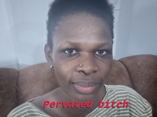 Pervated_bitch