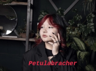 Petulabracher