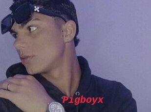 Pigboyx