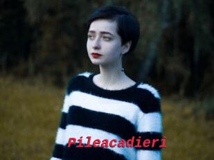 Pileacadieri