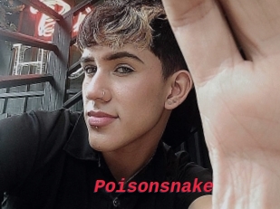 Poisonsnake