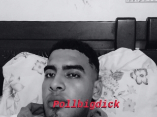 Pollbigdick