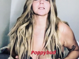 Poppybud