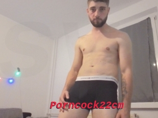 Porncock22cm