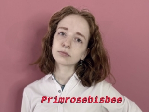 Primrosebisbee