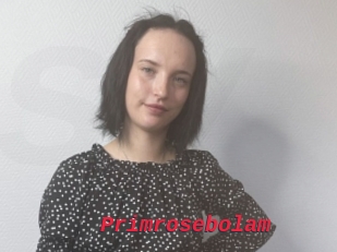 Primrosebolam