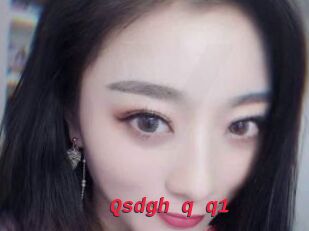 Qsdgh_q_q1