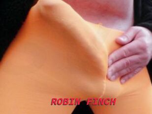 ROBIN_FINCH