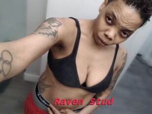 Raven_Stud