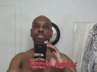 Rodney_Rabbit