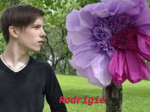 Rodrigie