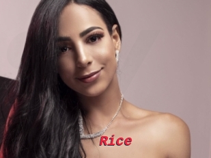 Rice