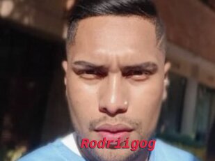 Rodriigog