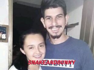 SNAKEANDBUNNY