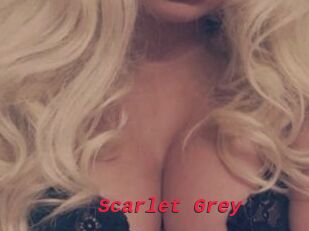 Scarlet_Grey
