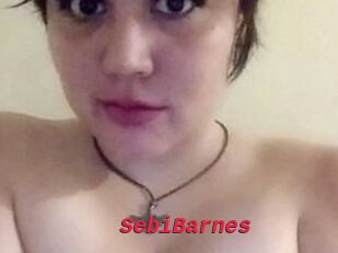 Sebi_Barnes