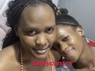 Sandycanice