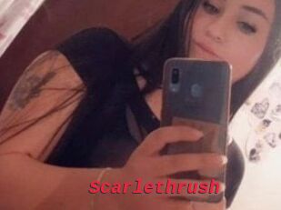 Scarlethrush