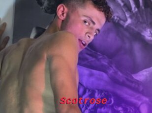 Scotrose