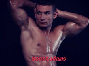 Scottadams